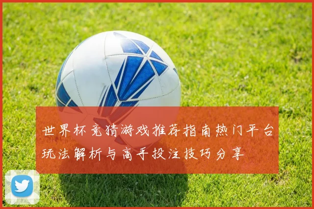 世界杯竞猜游戏推荐指南热门平台玩法解析与高手投注技巧分享
