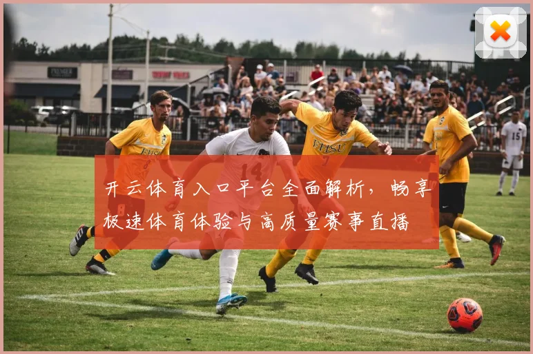 开云体育入口平台全面解析，畅享极速体育体验与高质量赛事直播
