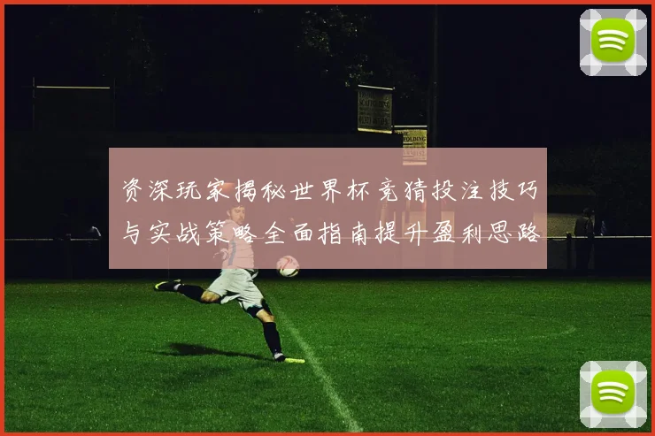 资深玩家揭秘世界杯竞猜投注技巧与实战策略全面指南提升盈利思路