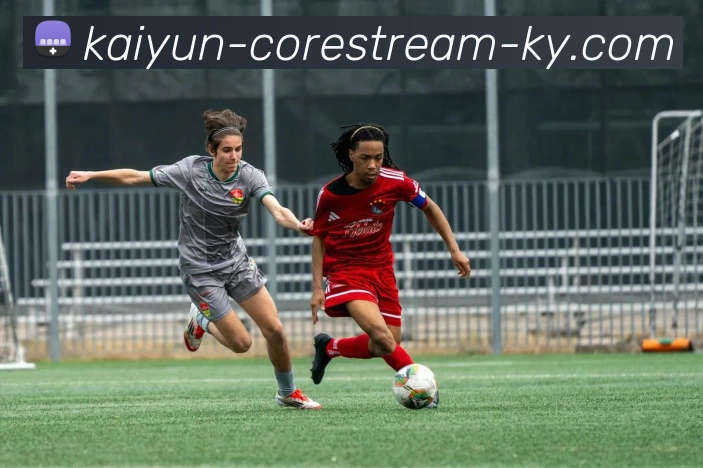 开云APP 体育赛事宣传图